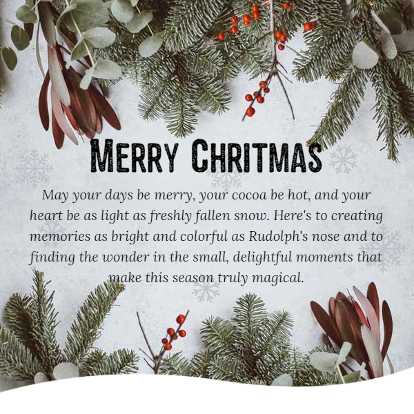 Merry Chritmas and Happy New Year!